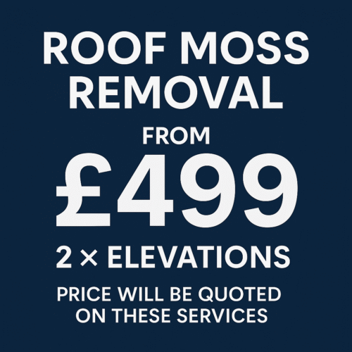 One-Off Roof Moss Removal (front & rear elevations)